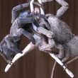 巨大な蜘蛛クモに犯される異種姦蟲姦アニメエロ同人がすごい！